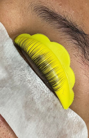 Master class Lifting de Pestañas y Laminado de Cejas